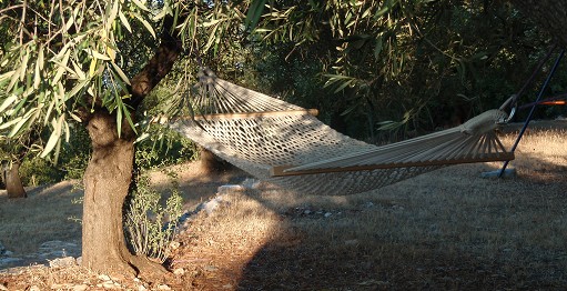 Hammock in the olive grove